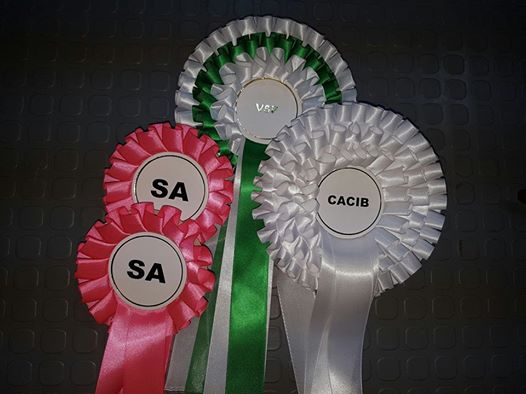 14721682_10210162426077692_8124991973189145518_n